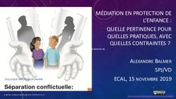 M&Eacute;DIATION EN PROTECTION DE L'ENFANCE : QUELLE PERTINENCE POUR QUELLES PRATIQUES, AVEC QUELLES CONTRAINTES ?