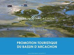PROMOTION TOURISTIQUE DU BASSIN D'ARCACHON - Le SIBA s'occupe et se préoccupe du Bassin