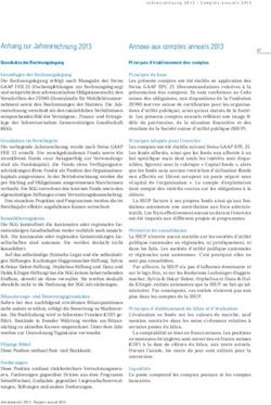 Annexe aux comptes annuels 2013