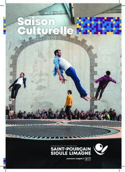 Saison Culturelle Hiver 2020 . 2021 - Mairie de Gannat