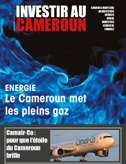 CAMEROUN INVESTIR AU - Le Cameroun met les pleins gaz - Investir au Cameroun