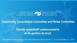 Community Consultative Committee and Noise Committee Comit&eacute; consultatif communautaire et de gestion du bruit - Greater Moncton Rom&eacute;o ...