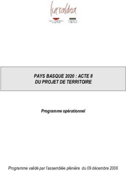PAYS BASQUE 2020 : ACTE II DU PROJET DE TERRITOIRE - Programme opérationnel Programme validé par l'assemblée plénière du 09 décembre 2006 - Pays ...