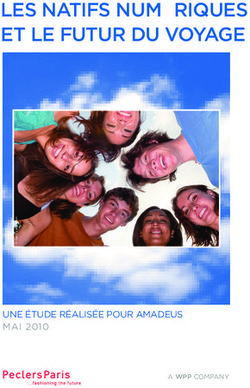 LES NATIFS NUM&Eacute;RIQUES ET LE FUTUR DU VOYAGE - UNE &Eacute;TUDE R&Eacute;ALIS&Eacute;E POUR AMADEUS MAI 2010