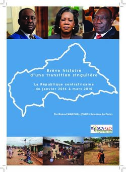 Brève histoire d'une transition singulière - La République centrafricaine de janvier 2014 à mars 2016 - CCFD-Terre Solidaire