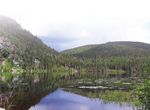 LES ENVAHISSEURS AQUATIQUES - Carnet d'identification d'esp&egrave;ces envahissantes d'eau douce du Qu&eacute;bec - Biblioth&egrave;que de ...