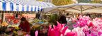 Carnaval de Nice et Fête du Citron à Menton - Séjour 3 jours - evasion & decouverte