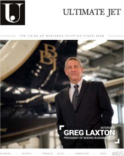 THE VOICE OF BUSINESS AVIATION SINCE 2008 - Ultimate Jet