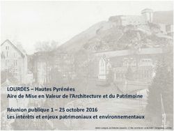 LOURDES - Hautes Pyrénées Aire de Mise en Valeur de l'Architecture et du Patrimoine Réunion publique 1 - 25 octobre 2016 Les intérêts et enjeux ...