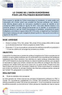 LE CADRE DE L'UNION EUROP&Eacute;ENNE POUR LES POLITIQUES BUDG&Eacute;TAIRES