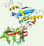 Comment fonctionne un récepteur couplé aux protéines G? Le cas des récepteurs métabotropiques du glutamate et du GABA How does a G protein-coupled ...