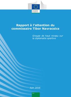 Rapport à l'attention du commissaire Tibor Navracsics - Groupe de haut niveau sur la diplomatie sportive