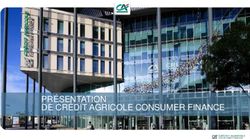 PRÉSENTATION DE CRÉDIT AGRICOLE CONSUMER FINANCE - Crédit Agricole Consumer Finance
