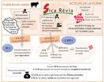 L'agriculture de La Réunion : évolution, chiffres clés et défis - Agritrop