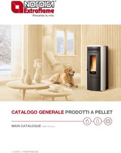 CATALOGO GENERALE PRODOTTI A PELLET - MAIN CATALOGUE Pellet Products n 1.2019 - IT/EN/FR/DE/ES - La Nordica Extraflame