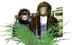 UN PARC - AmiEs du parc des Gorilles