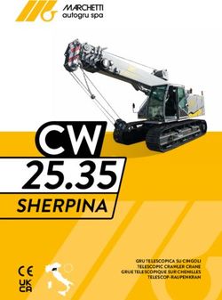 25.35 SHERPINA GRU TELESCOPICA SU CINGOLI TELESCOPIC CRAWLER CRANE GRUE TELESCOPIQUE SUR CHENILLES TELESCOP-RAUPENKRAN