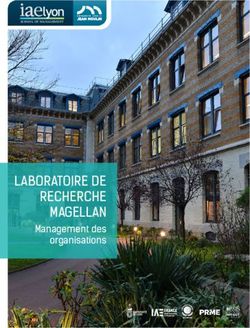 LABORATOIRE DE RECHERCHE MAGELLAN - Management des organisations - iaelyon School of ...