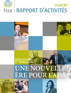 UNE NOUVELLE ÈRE POUR L'AISS - RAPPORT D'ACTIVITÉS 2018/19 - International Social Security ...