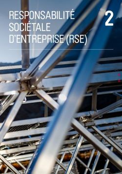 2 RESPONSABILIT&Eacute; SOCI&Eacute;TALE D'ENTREPRISE (RSE)