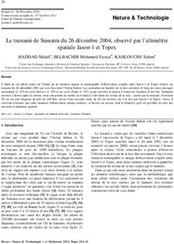 Le tsunami de Sumatra du 26 d&eacute;cembre 2004, observ&eacute; par l'altim&eacute;trie spatiale Jason-1 et Topex