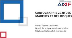 CARTOGRAPHIE 2020 DES MARCHÉS ET DES RISQUES - Robert Ophèle, président Benoît de Juvigny, secrétaire général Stéphane Gallon, chef économiste - AMF