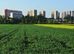 CAHIER D'ACTEURS ABORDER LA PLANIFICATION ALIMENTAIRE ET LA LOCALISATION DES COMMERCES ALIMENTAIRES - Projet Frugal