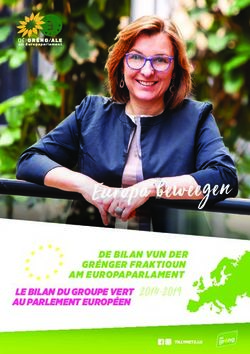 Europa beweegen DE BILAN VUN DER GRÉNGER FRAKTIOUN AM EUROPAPARLAMENT LE BILAN DU GROUPE VERT - Tilly Metz
