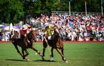 POLO CLUB DE VEYTAY - DOSSIER PARTENARIAT SPONSORSHIP