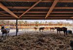 POLO CLUB DE VEYTAY - DOSSIER PARTENARIAT SPONSORSHIP