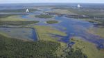 Plan de gestion de la r&eacute;serve nationale de faune du Ruisseau-Portobello