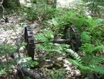 Plan de gestion de la r&eacute;serve nationale de faune du Ruisseau-Portobello