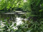 Plan de gestion de la r&eacute;serve nationale de faune du Ruisseau-Portobello