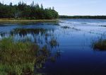 Plan de gestion de la r&eacute;serve nationale de faune du Ruisseau-Portobello