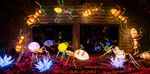 LUMINESCENCES FESTIVAL DES LUMIÈRES