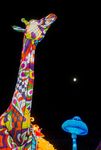LUMINESCENCES FESTIVAL DES LUMIÈRES