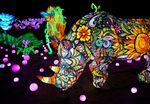 LUMINESCENCES FESTIVAL DES LUMIÈRES