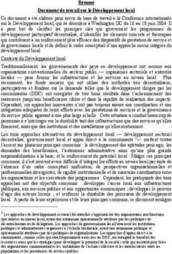 R&eacute;sum&eacute; Document de travail sur le D&eacute;veloppement local
