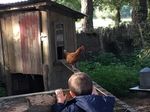 FERME PÉDAGOGIQUE ET DÉCOUVERTE LA FERME DU FORSDOFF - Karine & Frédéric AUGÉ