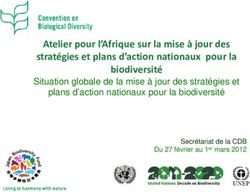 Situation globale de la mise &agrave; jour des strat&eacute;gies et plans d'action nationaux pour la biodiversit&eacute;