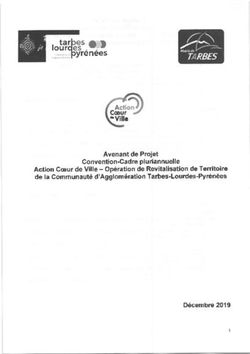 Yrenees ,eVille Avenant de Proiet Action Caeur de Ville - Op&eacute;ration de Revitalisation de Territoire de la Gommunaut&eacute; d'Agglom&eacute;ration ...