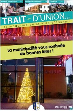 La municipalit&eacute; vous souhaite de bonnes f&ecirc;tes ! - le d'Eaunes - Mairie d'Eaunes