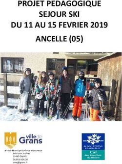 PROJET PEDAGOGIQUE SEJOUR SKI DU 11 AU 15 FEVRIER 2019 ANCELLE (05) - Grans