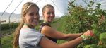 Catalogue des programmes des 4-H du Canada - 4-h-canada.ca