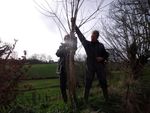 Programme bocager de Louvigné Communauté Bénéfices apportés en terme de biodiversité - Présentation pour l'Agence de l'Eau Seine Normandie ...