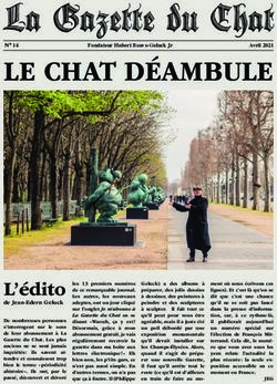 La Gazette du Chat LE CHAT D&Eacute;AMBULE - Over-blog-kiwi