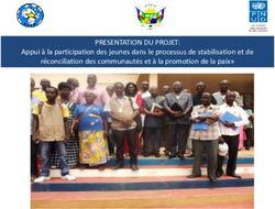PRESENTATION DU PROJET: Appui à la participation des jeunes dans le processus de stabilisation et de réconciliation des communautés et à la ...
