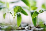 MOD&Egrave;LES LIBRES ET AGRICULTURE - B-Boost