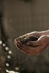 MOD&Egrave;LES LIBRES ET AGRICULTURE - B-Boost