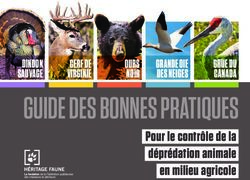 Pour le contrôle de la déprédation animale en milieu agricole - OURS NOIR